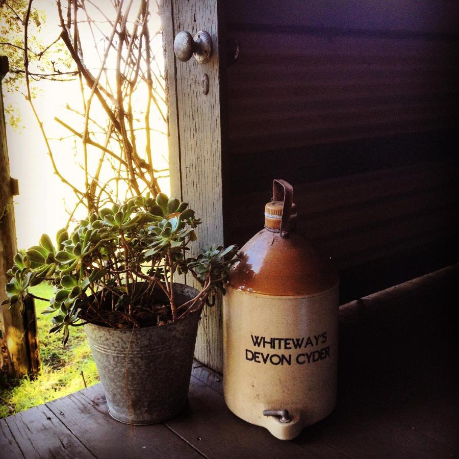 The Potters Garden B&B Rye Extérieur photo