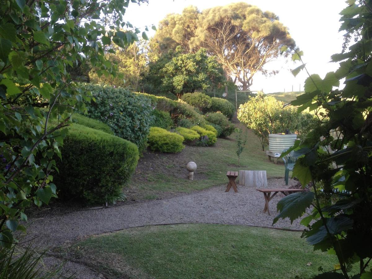 The Potters Garden B&B Rye Extérieur photo